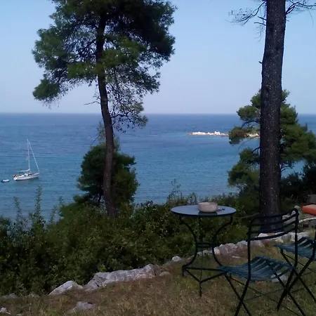 And Blue View