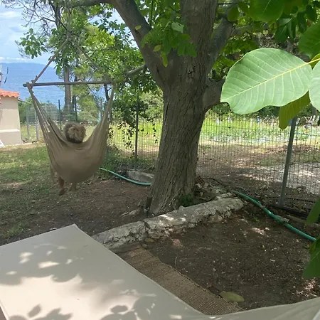 شقة And Blue View *