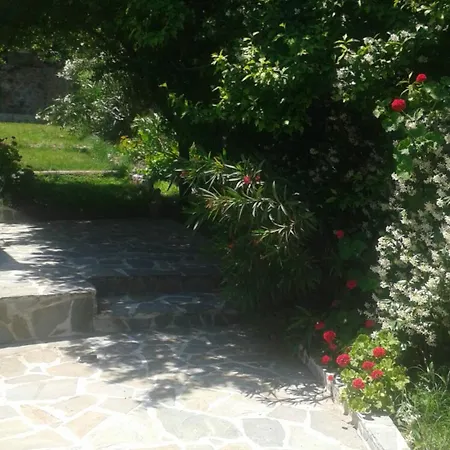 And Blue View * Ellinika (Evia)